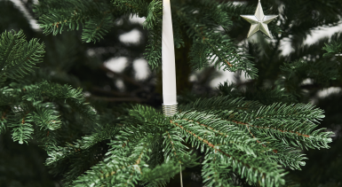 Limited Edition, kunstigt juletræ, PE, 2 x 1,4 m, u/LED lys